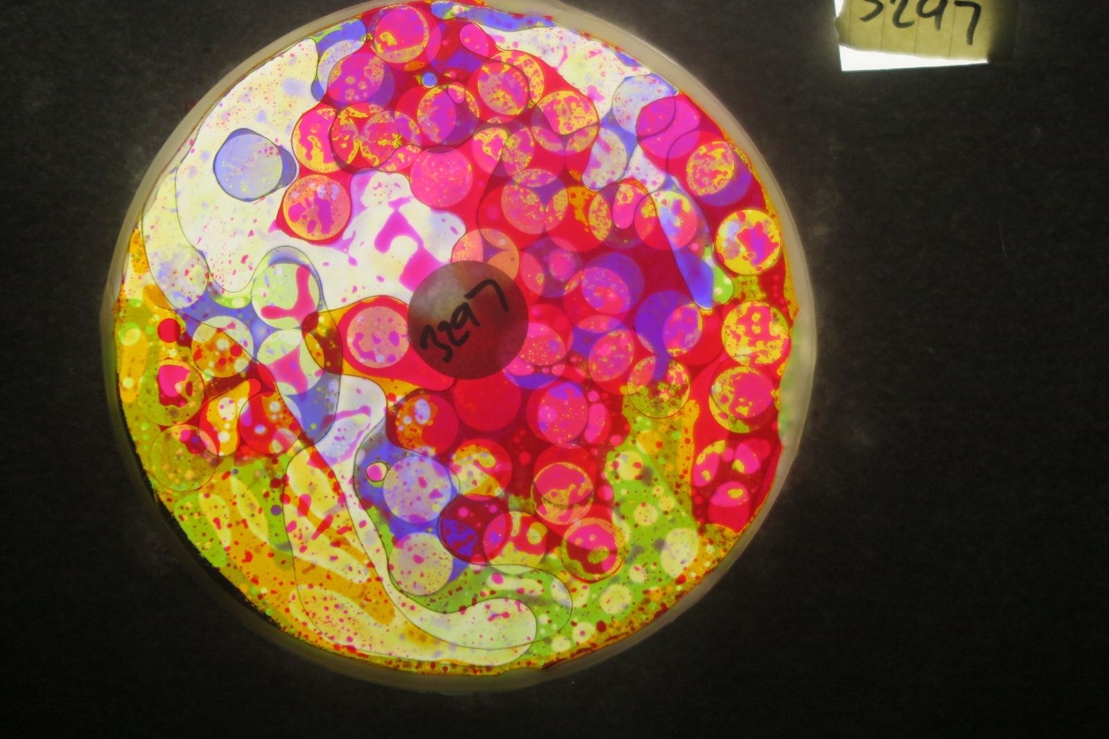 BV3297 bubble vision oil wheel